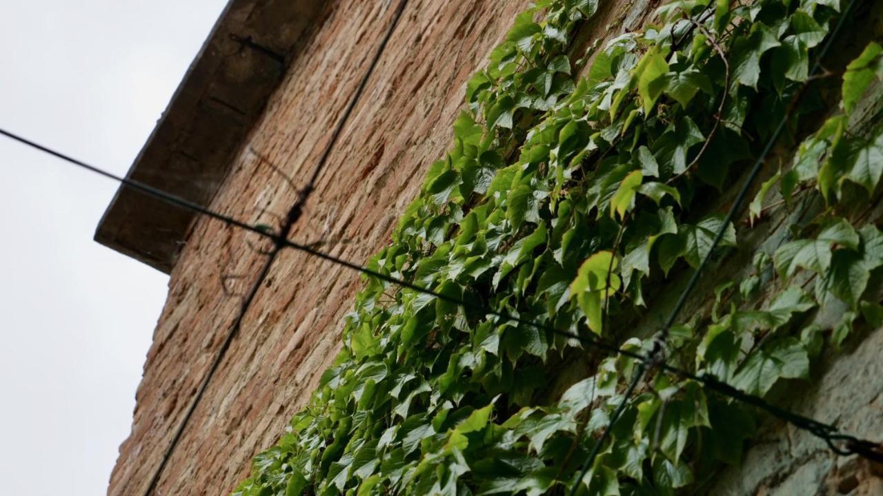 La Casa Di Giulia: Una Pausa In Collina Fubine Экстерьер фото